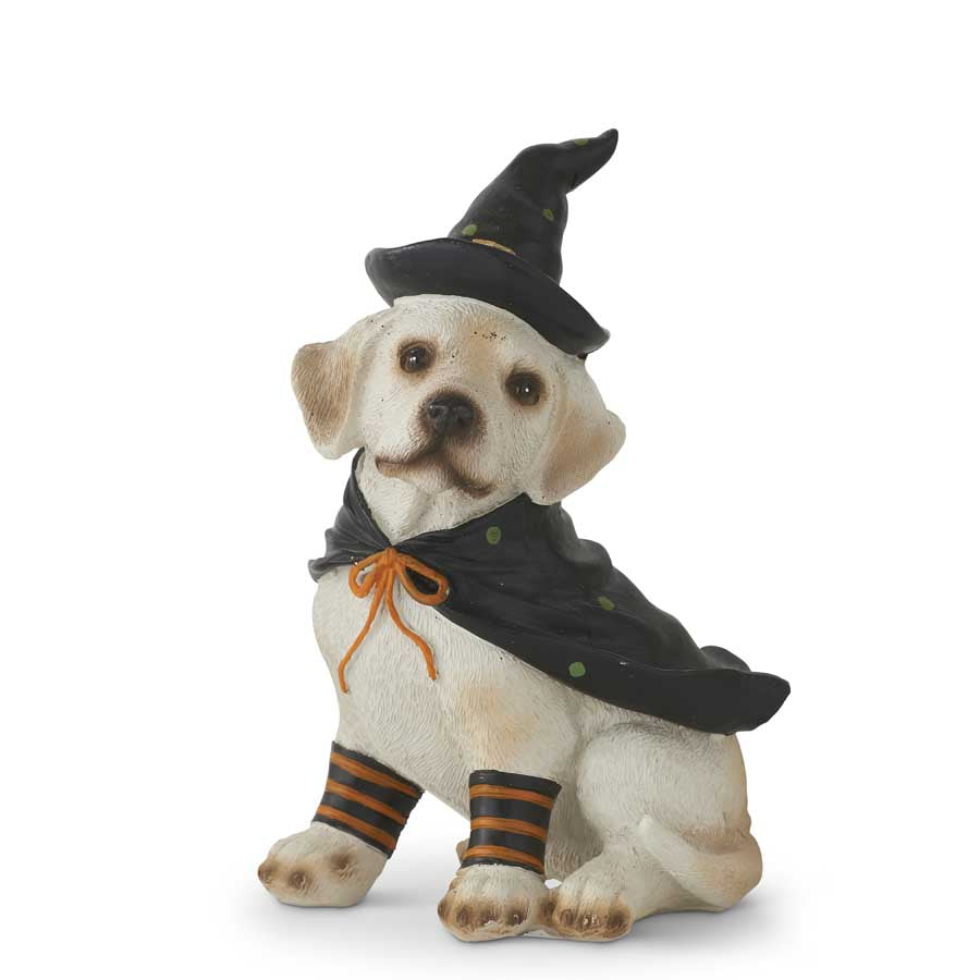 Halloween Dog in Witch Hat and Cape Costume