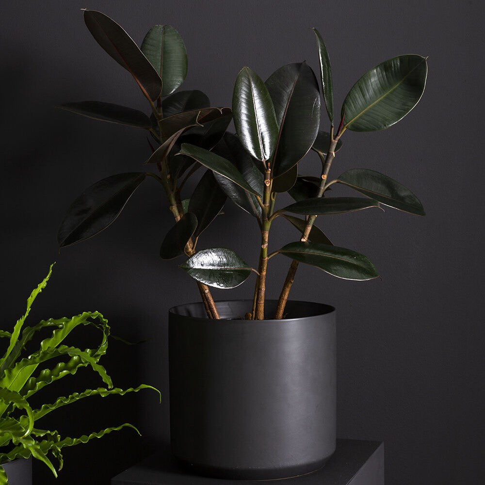 Kendall Black Planter Pot