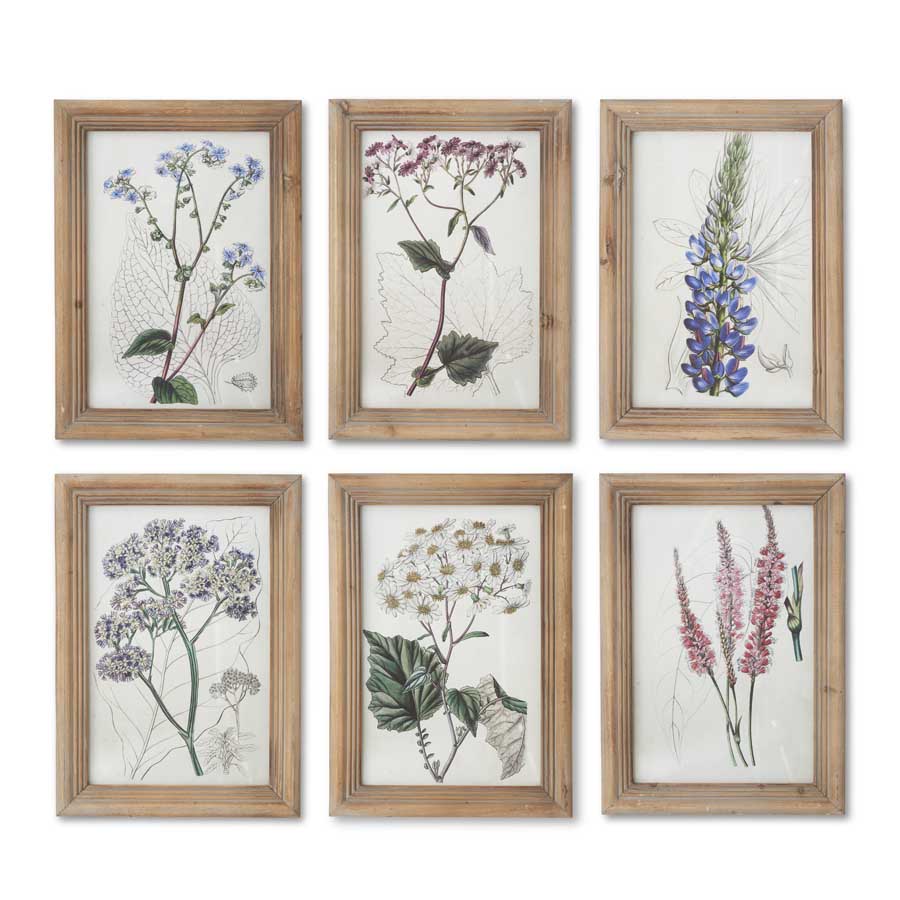 Flower Botanical Wall Art with Natural Frame (Purple Daisy)