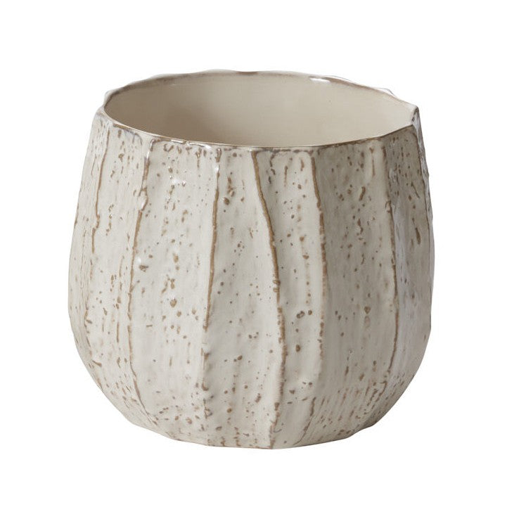 Beechwood Tree Bark Pot Planter
