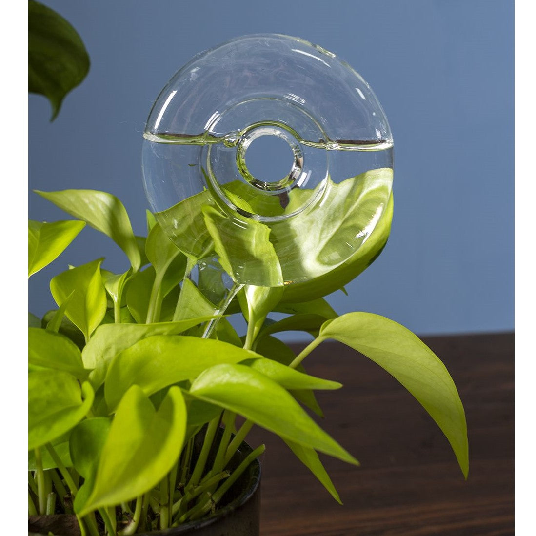 Circle Trickle Self-Watering Tube