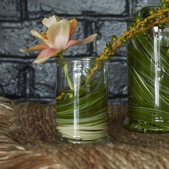 Clear Veza Glass Modern Vase