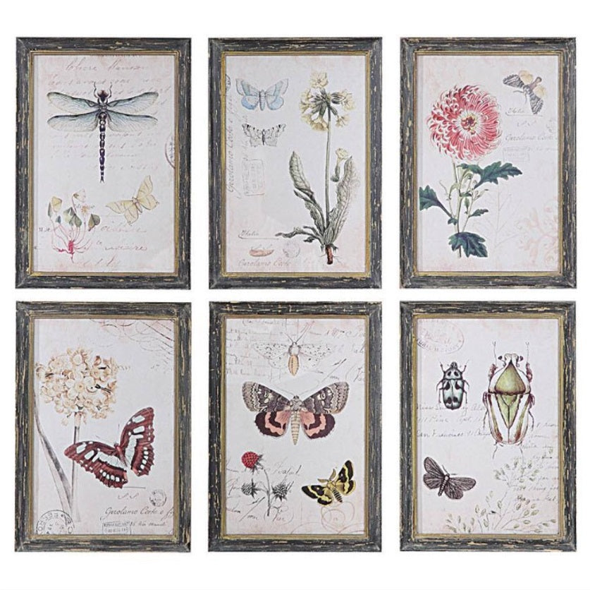 Nature Botanical Wall Art Collection - Dragonfly