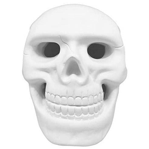 Plaster Skull
