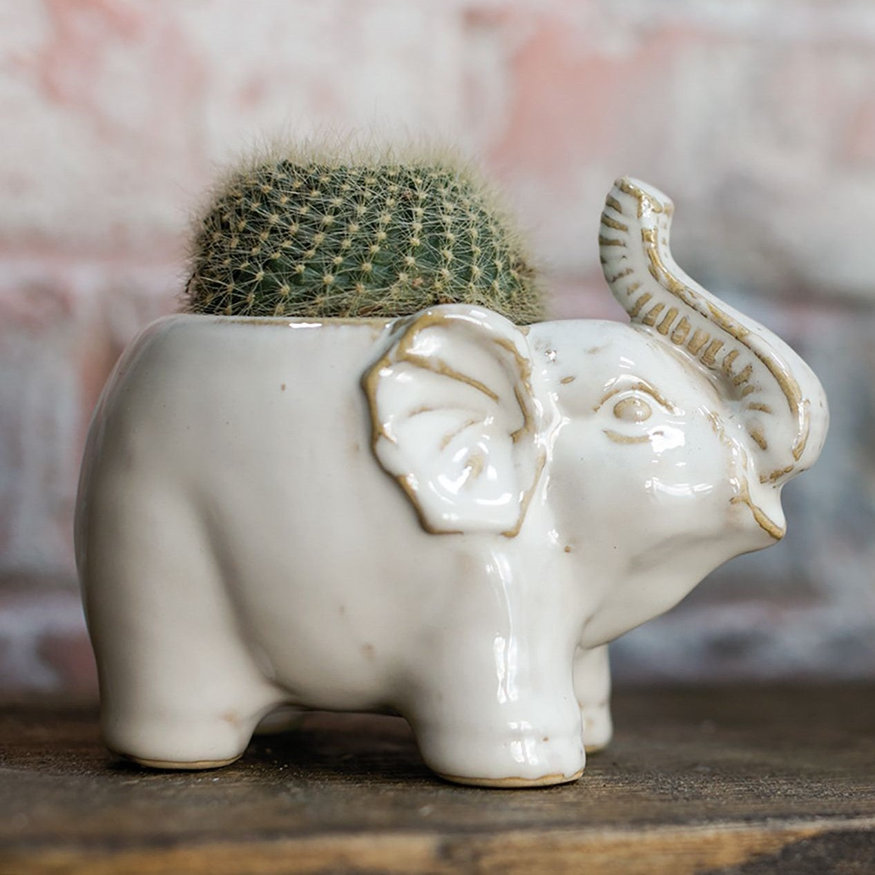 Ivory Elephant Ceramic Pot Planter