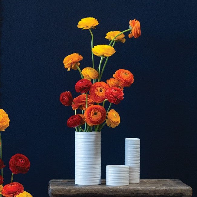 Striated White Modern Cylinder Budvase (Small)