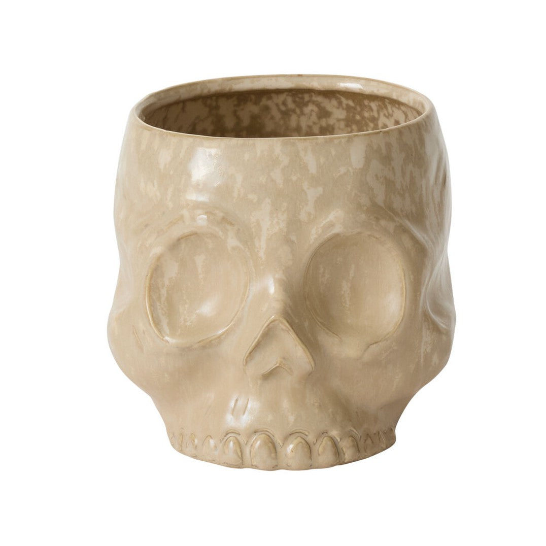 Skull Pot Planter