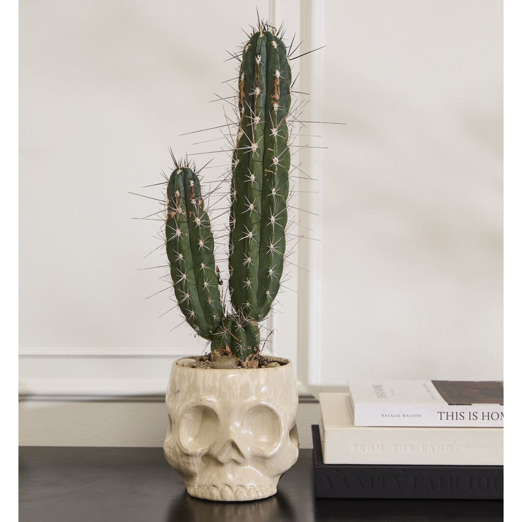 Skull Pot Planter