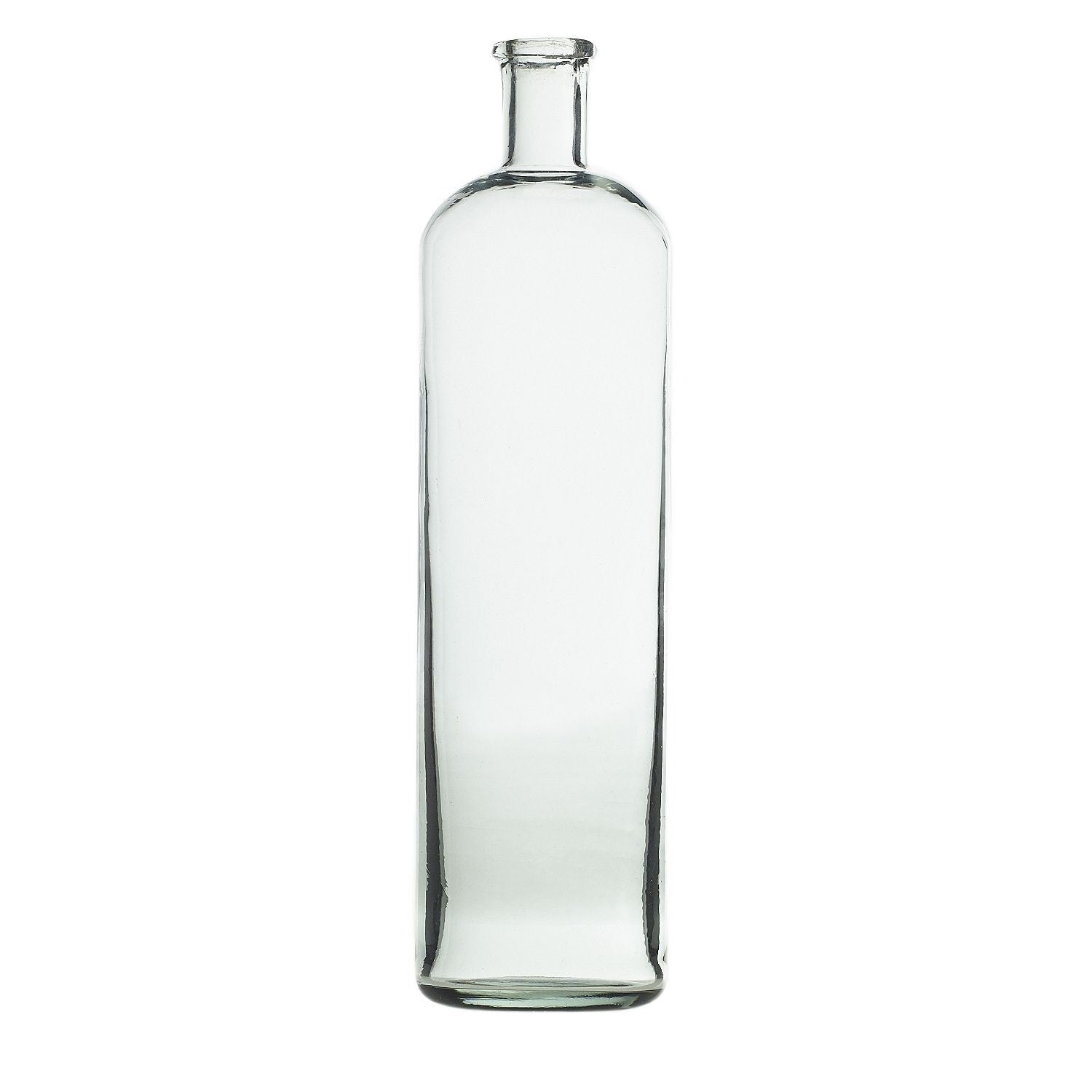 Tall Lago Clear Glass Modern Vase - Budvase