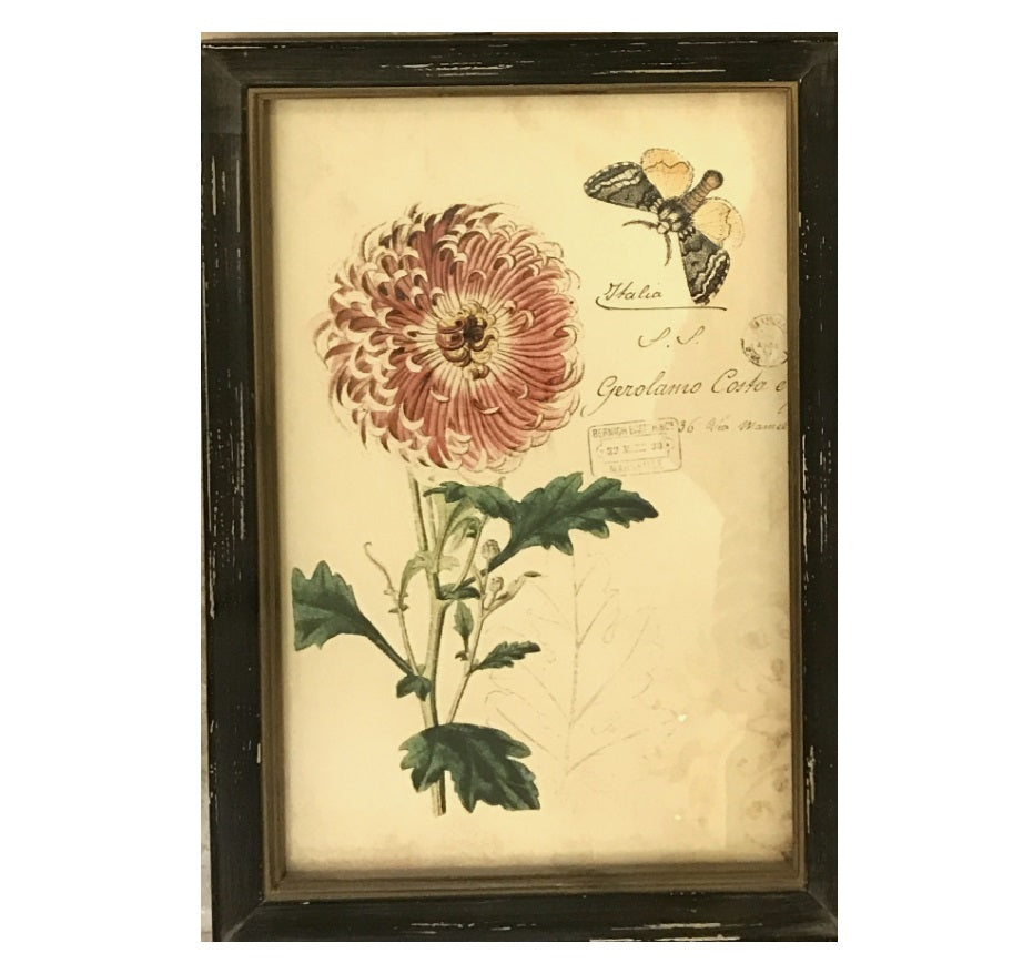 Nature Botanical Wall Art Collection - Pink Flower