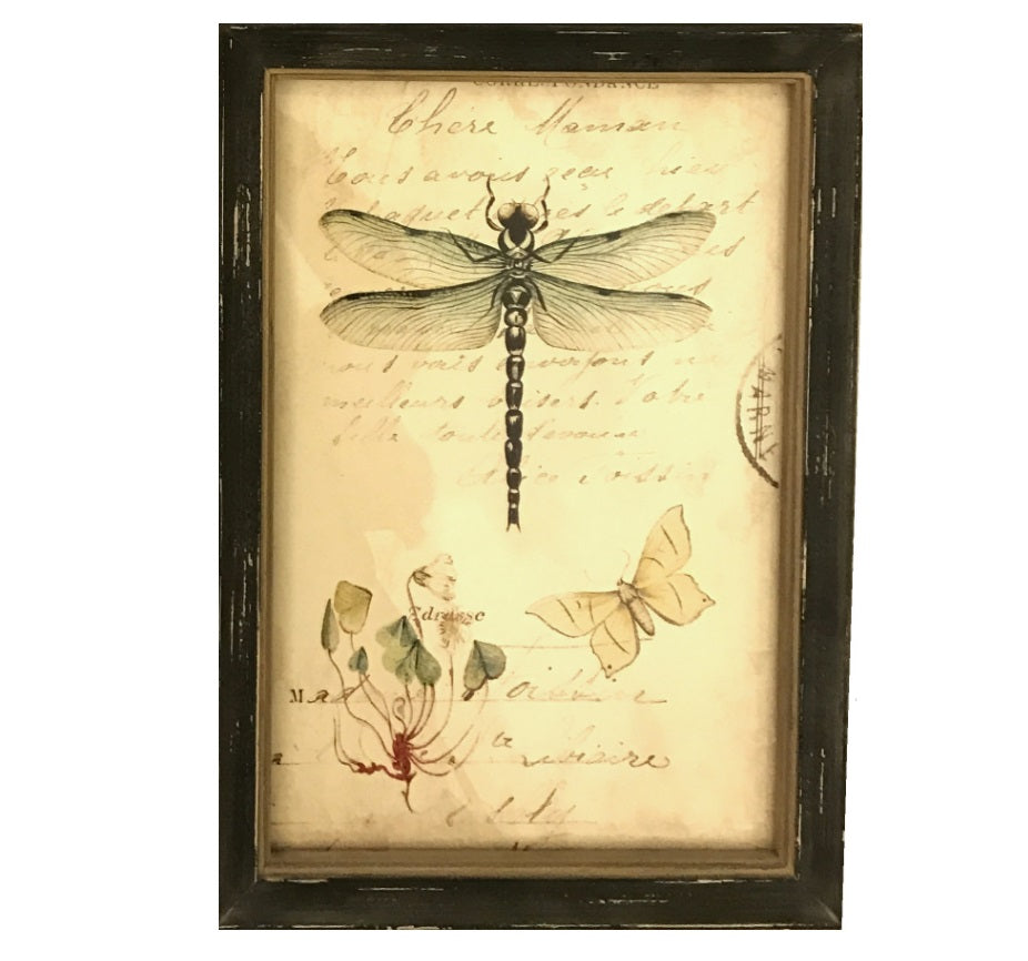 Nature Botanical Wall Art Collection - Dragonfly