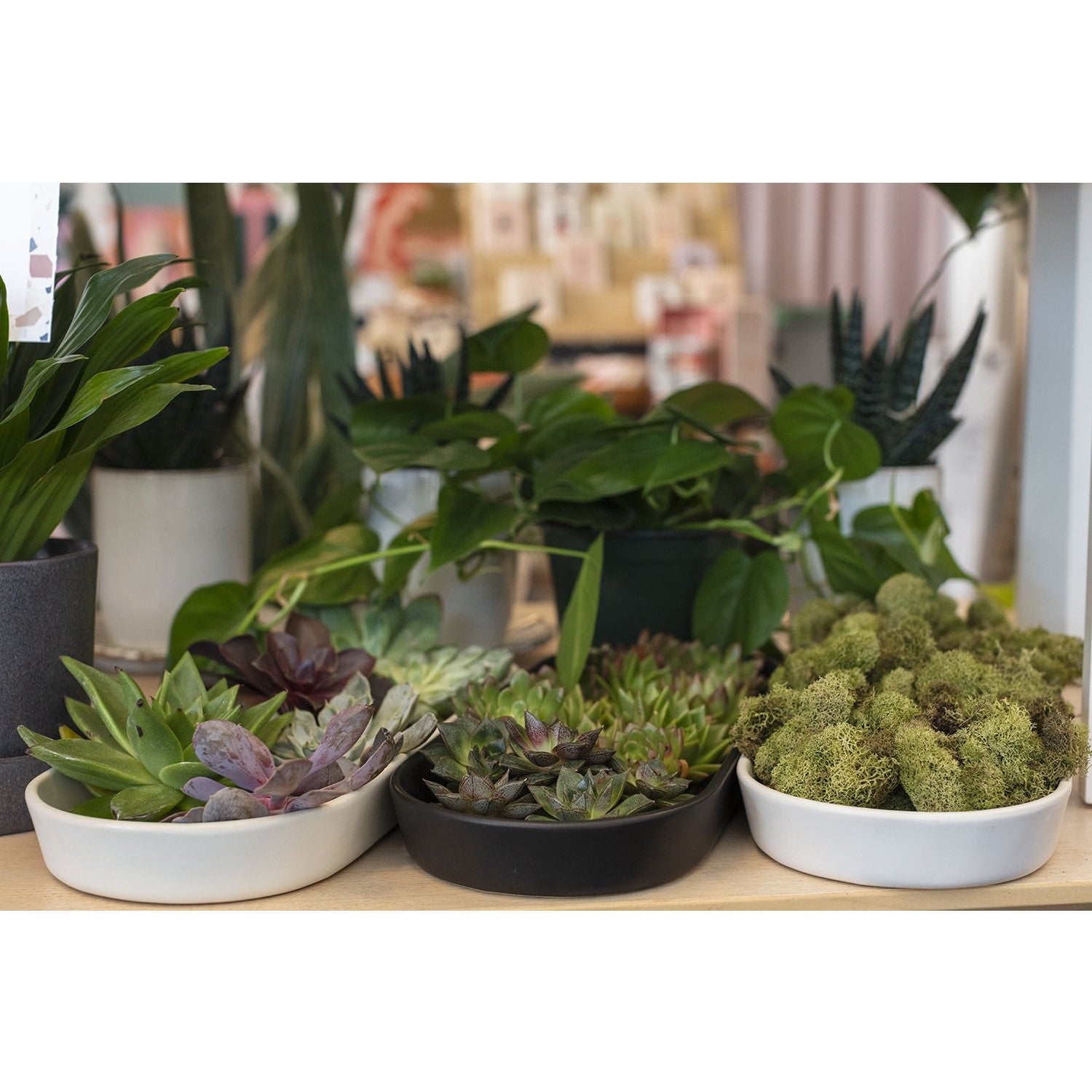 Oakley Plant Saucer (black)