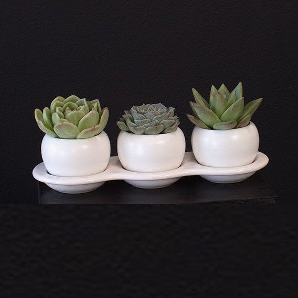 Otto White Modern Planter Pots