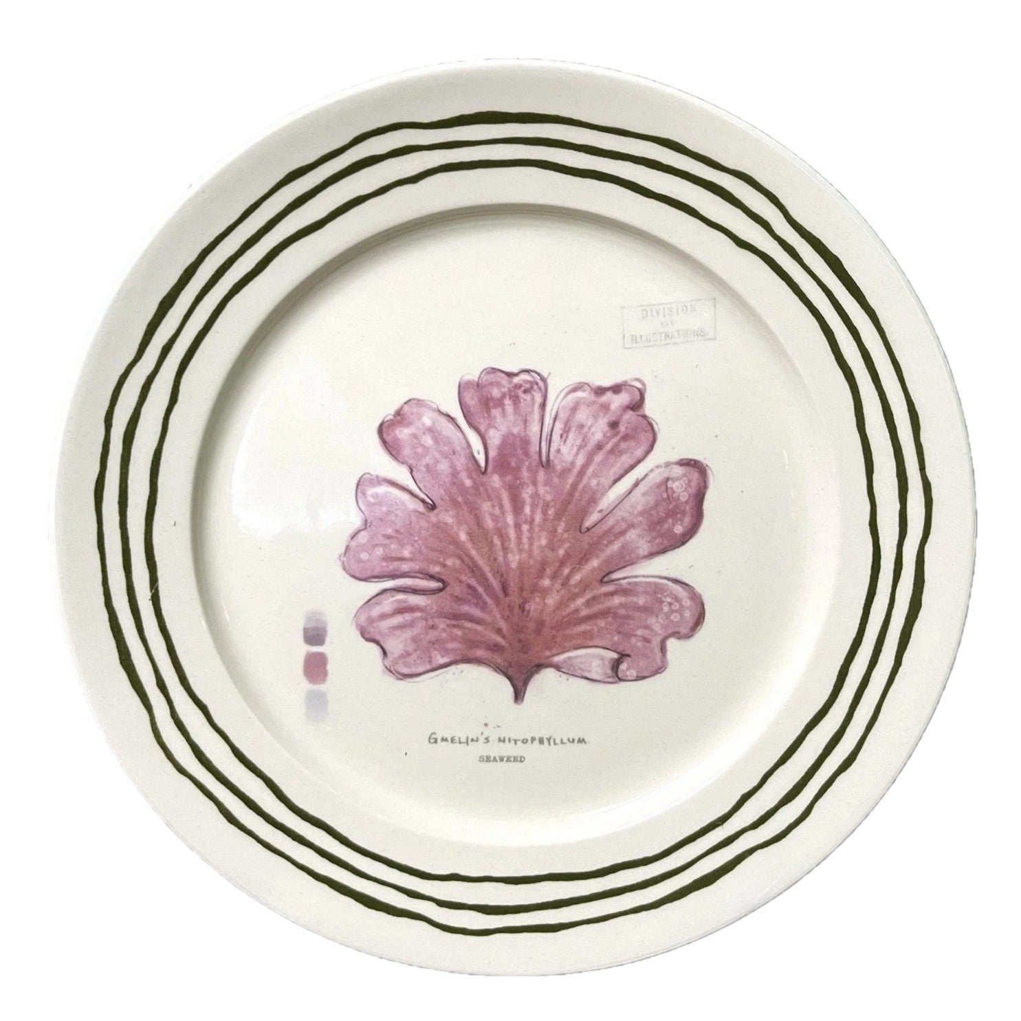 Fleur de Sel Barnett Salad Plate - Red Coral