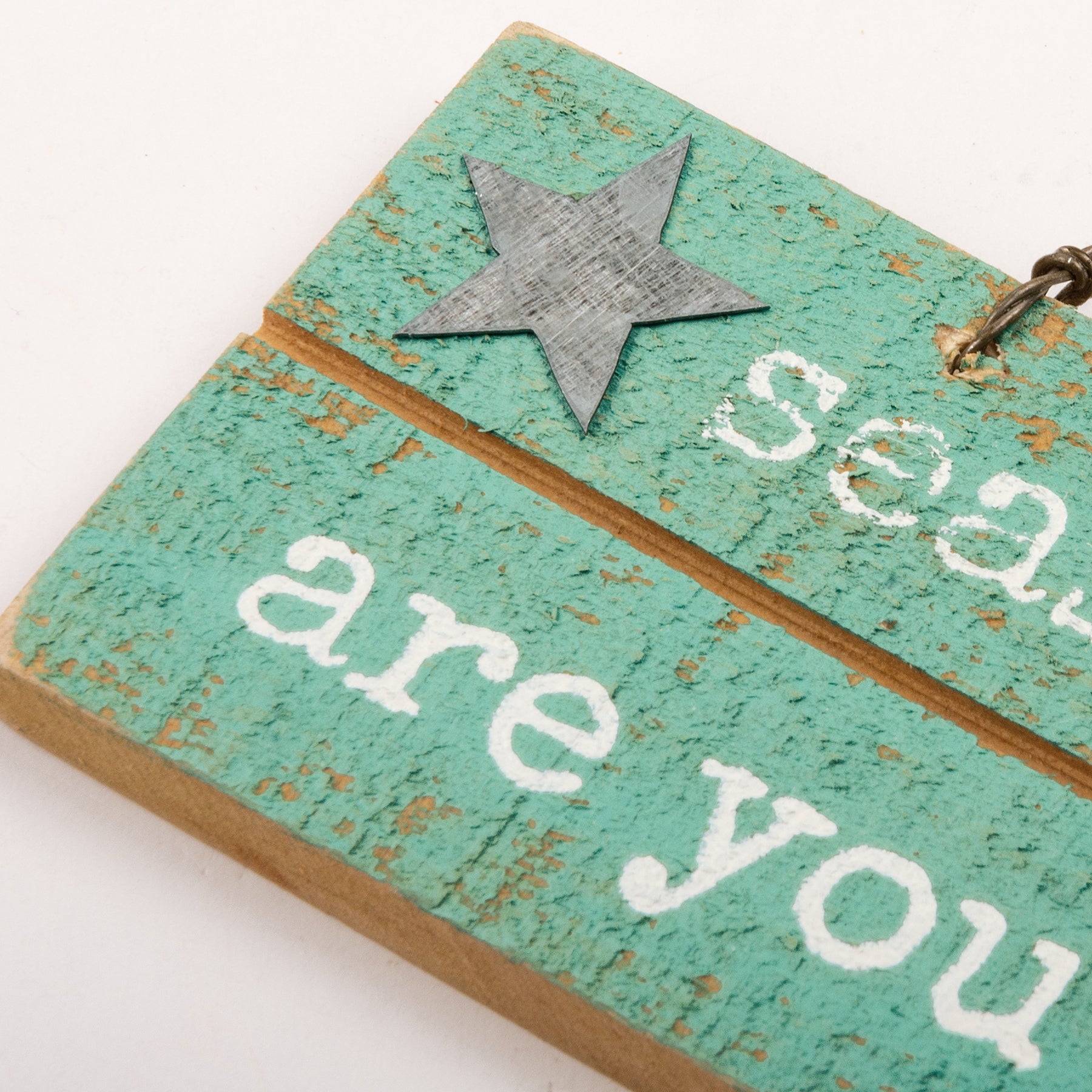 Seashells, Sand, Salty Christmas Tree Ornament Sign Set