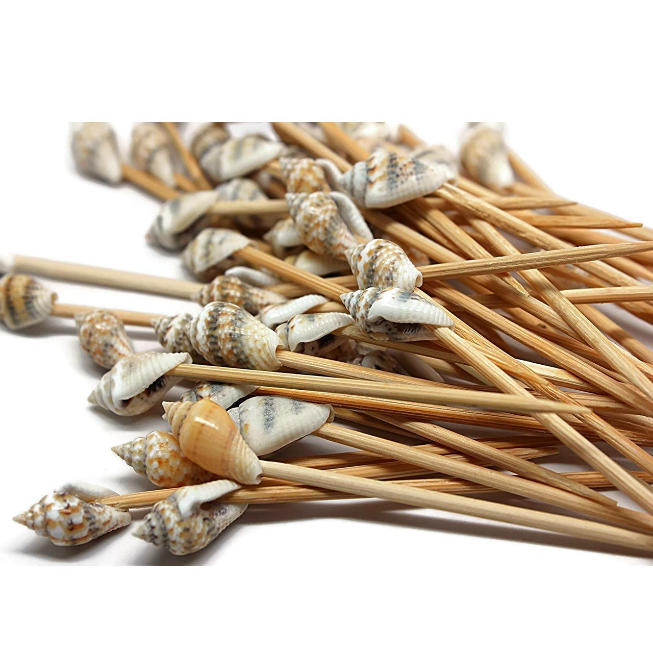 Seashell Toothpicks - Cocktail Party Picks (50ct)