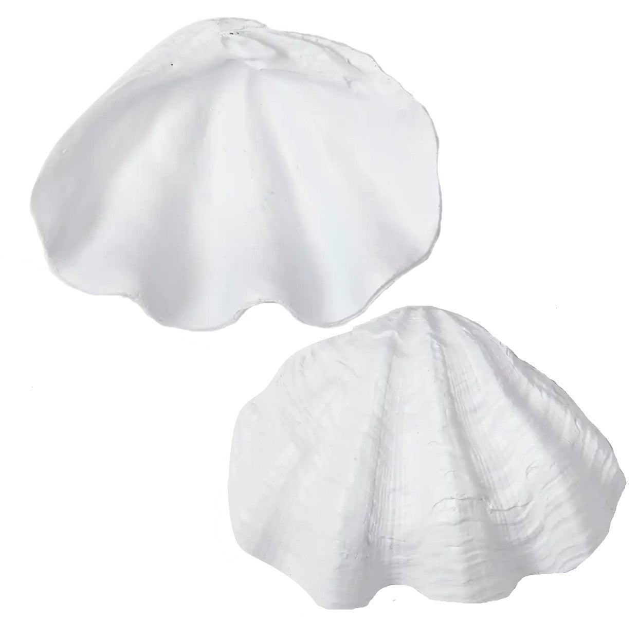 Clam Shell Decorative Bowl