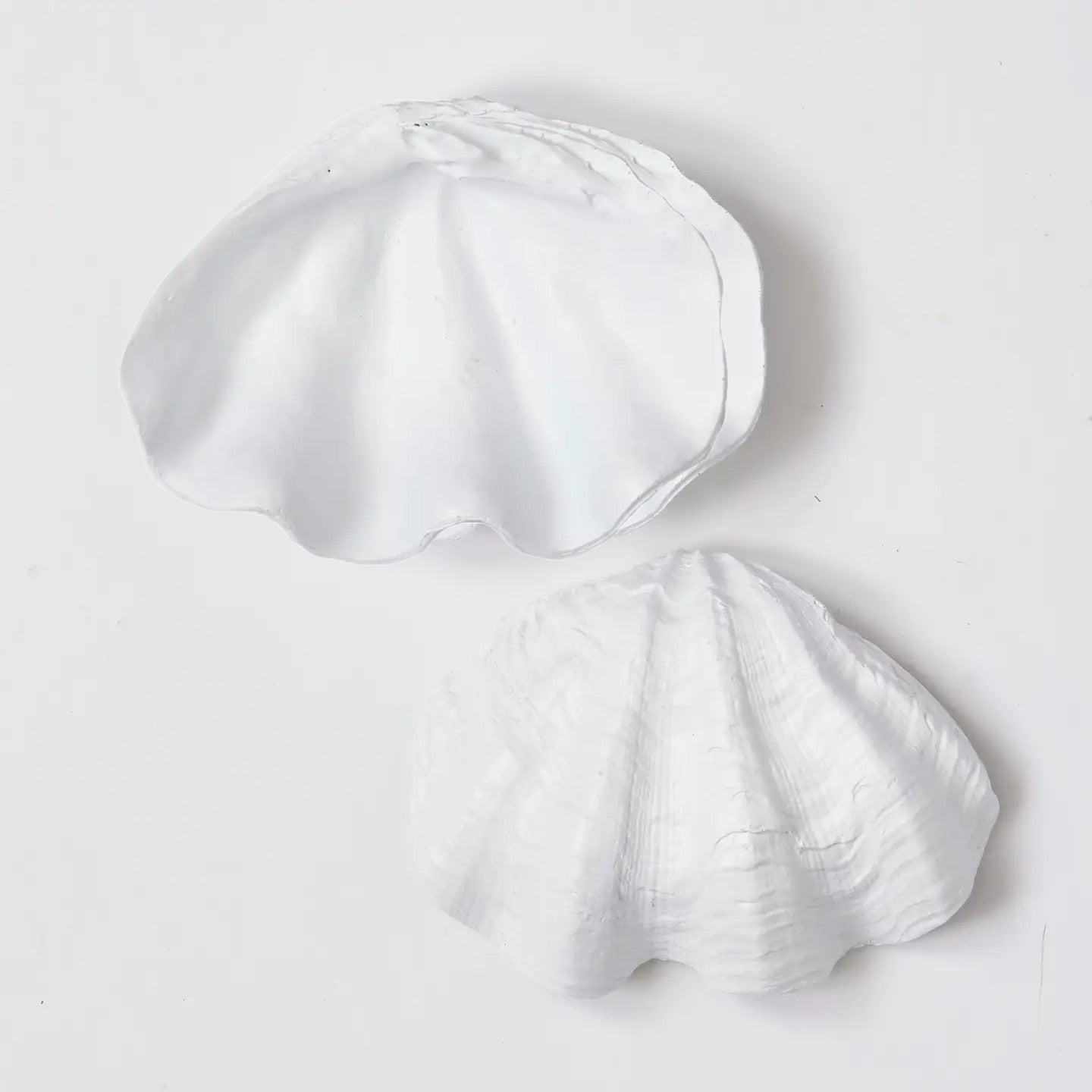 Clam Shell Decorative Bowl