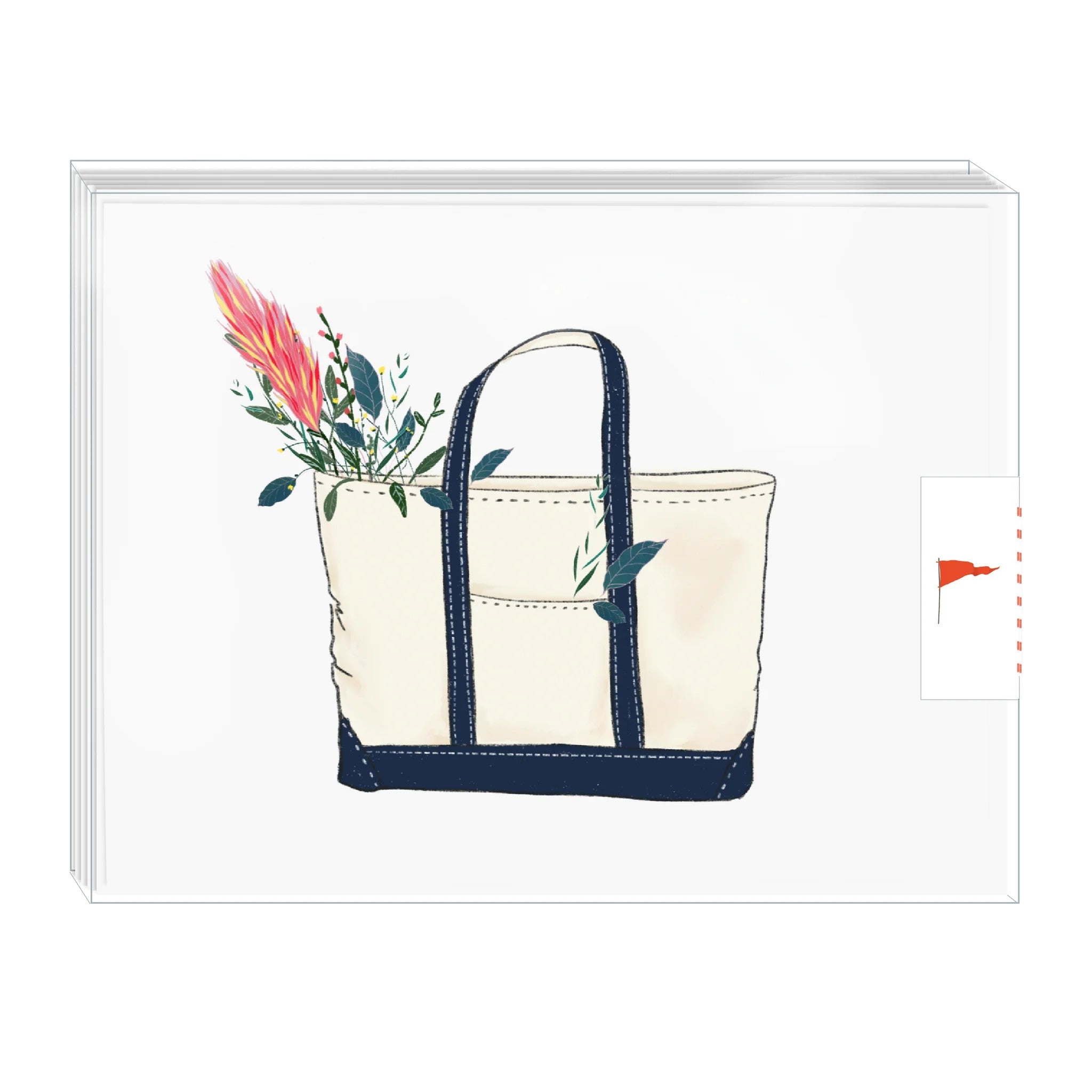 Summer Days Greeting Cards (Set of 12)