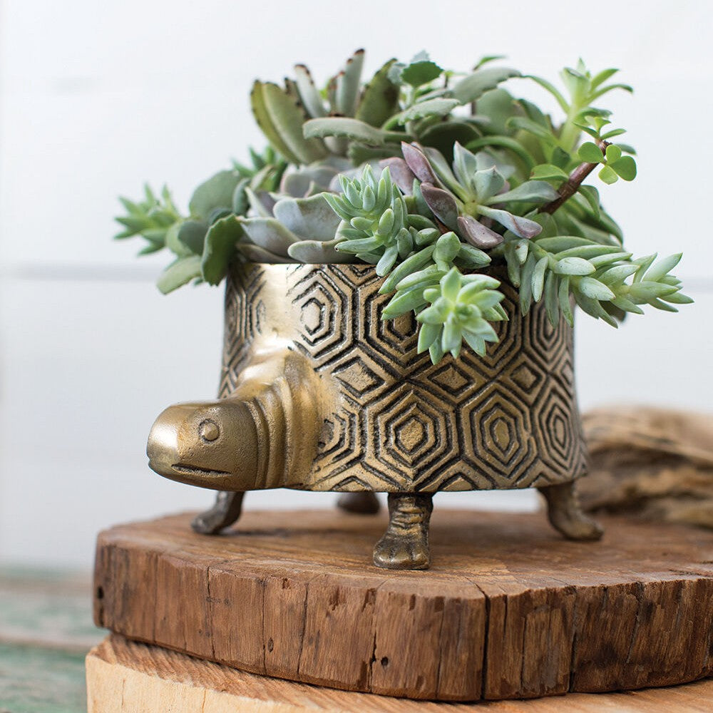 Metal Tommie Turtle Planter Pot