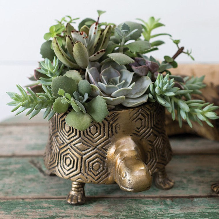 Metal Tommie Turtle Planter Pot