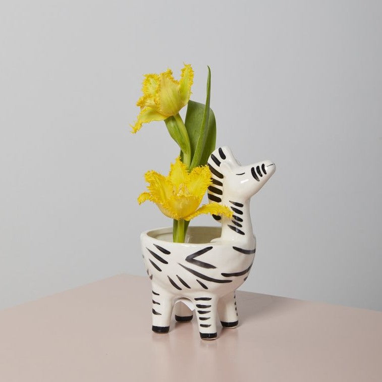 Zebra Ceramic Planter Pot